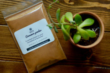 Load image into Gallery viewer, Pack of SpiceFix cinnamon powder 3.5 oz