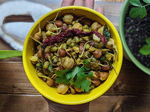 Delicious Mung bean and chick pea salad highlighted with SpiceFix chaat masala blend 